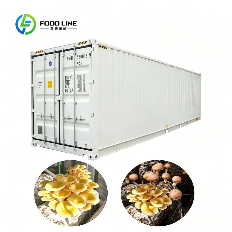 Urban Farming Hydroponic System - 屋内農業都市農業向け自動灌漑システム搭載の水耕栽培コンテナ農場ターンキープロジェクト