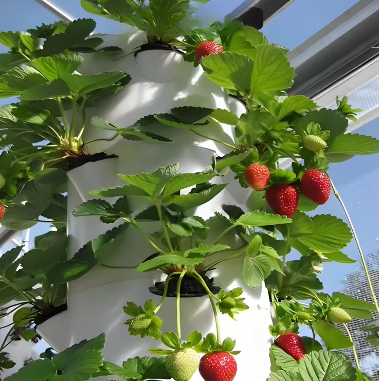 都市農業向けモジュール式水耕栽培壁面航空宇宙システム　新しい - Urban Farming Hydroponic System のレビューと価格