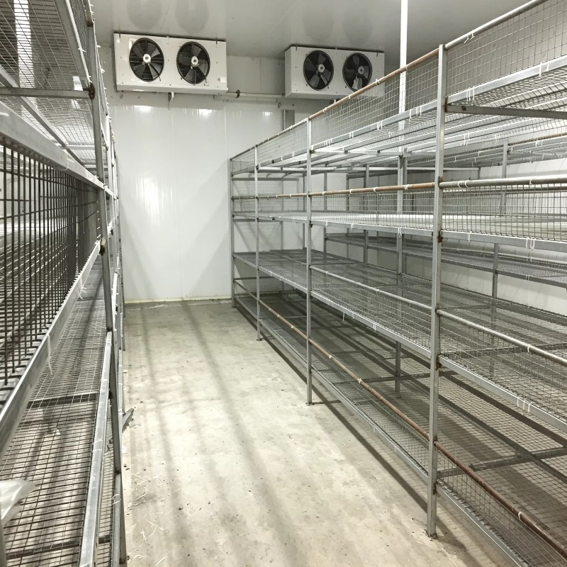 屋内農業都市農業向け自動灌漑システム搭載の水耕栽培コンテナ農 - Urban Farming Hydroponic System のレビューと価格